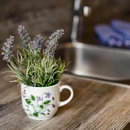 Easyapartments Leo Apartamento Linz