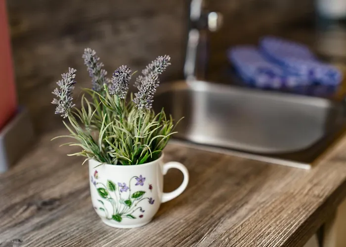 Easyapartments Leo Apartamento Linz